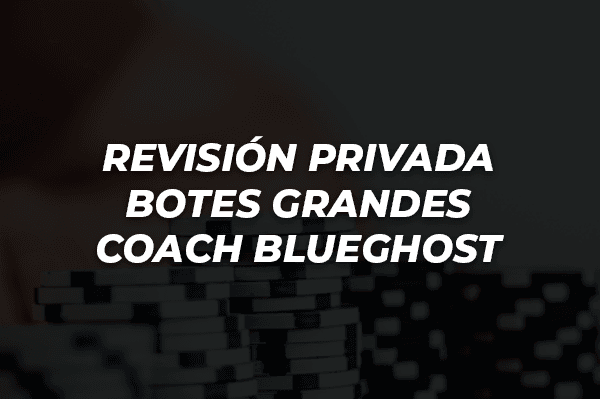 REVISIÓN PRIVADA   BOTES GRANDES COACH BLUEGHOST